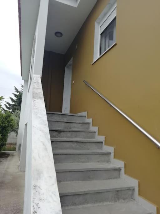 فيلا Myrsini' S House Néa Péramos المظهر الخارجي الصورة