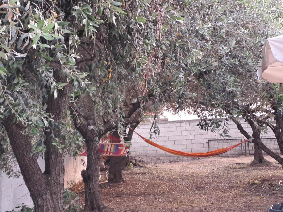فيلا Myrsini' S House Néa Péramos المظهر الخارجي الصورة